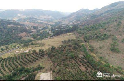 Imagem 6 de 11 de Sítio À Venda, 25379 M² Por R$ 290.000,00 - Zona Rural De Aguas Da Prata - Águas Da Prata/sp - Si0023