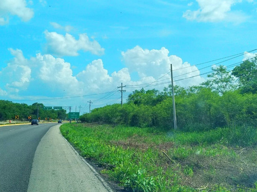 Imagen 5 de 6 de Terreno En Venta En Chochola De 356m Frente A Carretera Meri