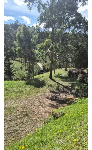 Rhbr-12729 (lote San Vicente Vda Chaparral)