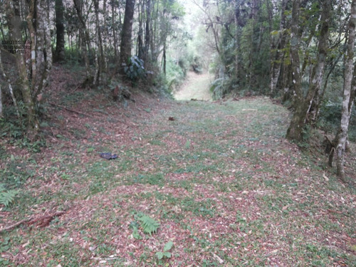 Chácara A Venda No Bairro Centro Em Bocaiúva Do Sul - Pr. - 369-1