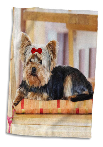 3d Rosa Yorkie. Yorkshire Terrier. Lindo Cachorro Con Lazo R