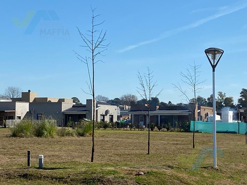 Imagen 19 de 23 de Terreno - Countries/b.cerrado (manzanares)