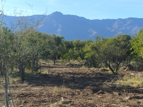 Terrenos En San Javier - Córdoba 