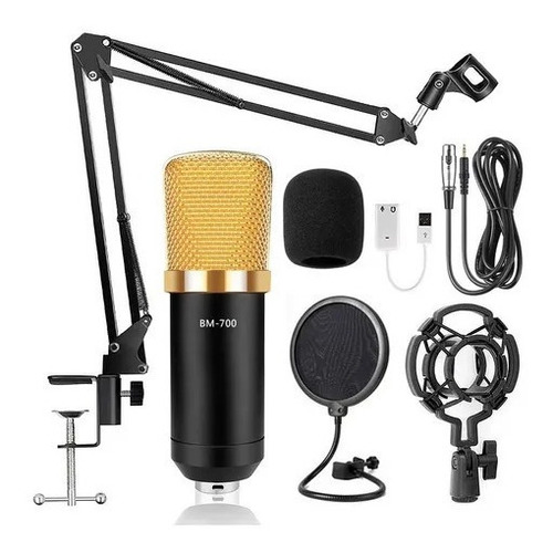 Micrófono Condensador Bm700 Color Negro