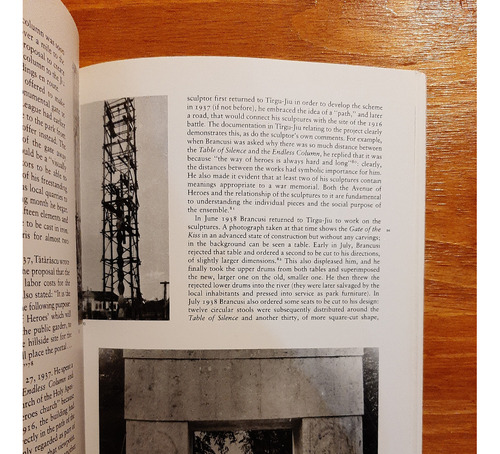 Constantin Brancusi. Eric Shanes. Abbeville Modern Masters (Usado)