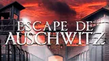 Escape de Auschwitz