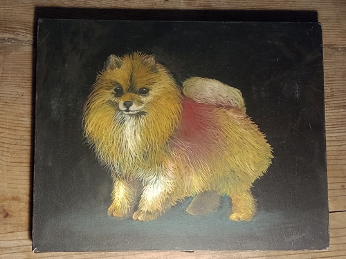 Óleo Pomerania Perro Vintage 