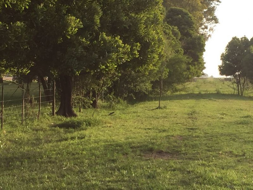 Imagen 3 de 23 de Campo En Venta En Lobos