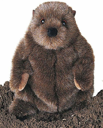 Chuckwood De La Marmota - Rana De Peluche (11,0 Pulgadas), 1