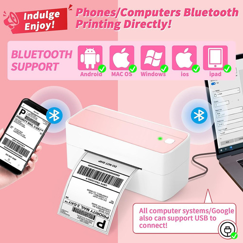 Impresora De Etiquetas Logística 4x6 Bluetooth