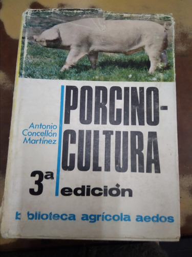 Porcino - Cultura Antonio Concellon