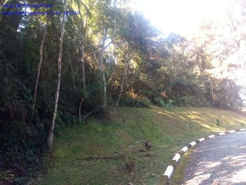 Imagem 10 de 11 de Chacara - Ch00034 - 70000292