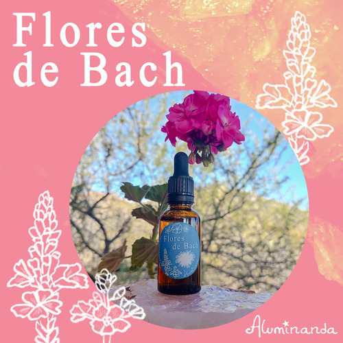 Flores De Bach Originales* Fórmula Astrológica* Gotero 30ml
