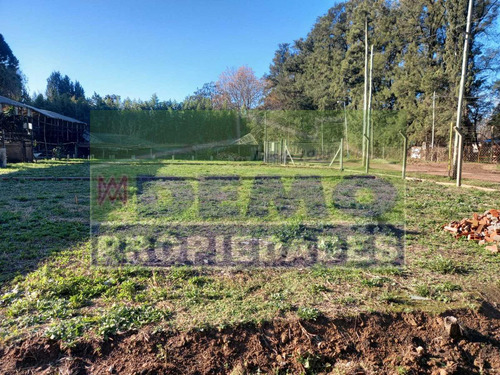 Terreno - Grand Bourg