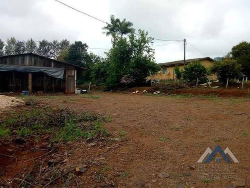 Imagem 2 de 6 de Chácara Com 7 Dormitórios À Venda, 21000 M² Por R$ 680.000,00 - Cristo Rei - Tamarana/pr - Ch0102