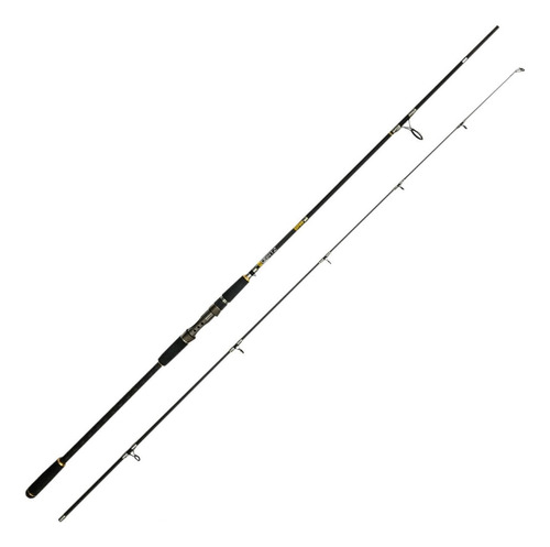 Caña Pescar Rapala 3 Metros 2 Piezas Linea Carbono 2020 Surf