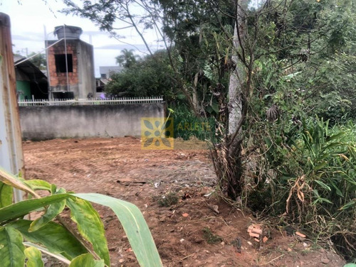Imagem 4 de 11 de Terreno No Bairro Centro Em Bombinhas Sc - 7171