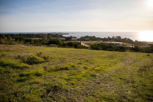 Vista Horizonte Punta De Lobos