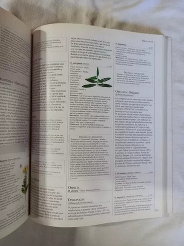 Brown: Enciclopedia De Las Hierbas Y Sus Usos