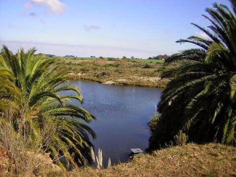 Imagen 6 de 9 de Venta Chacra 30 Has Piedras De Los Indios Colonia Uruguay