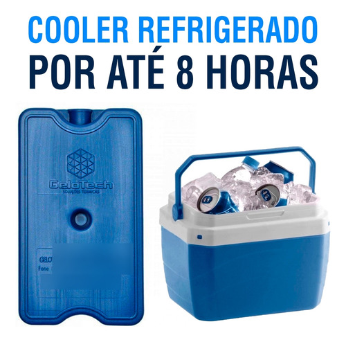 Gelo Artificial Gelo-x Reutilizável 400ml Kit 12 Pçs