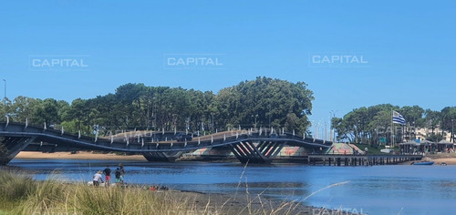 Imagen 7 de 12 de Terreno En El Tesoro De 450 M2 - La Barra El Tesoro