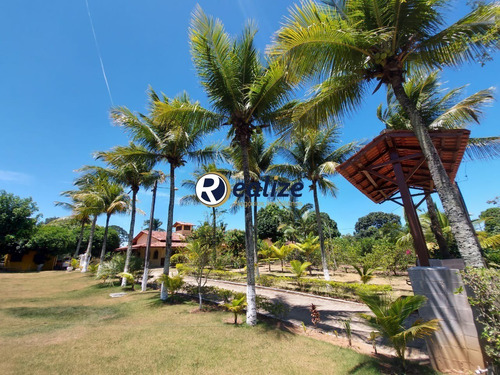 Imagem 1 de 30 de Maravilhosa Chácara Com Área Gourmet E Um Lindo Jardim Zona Rural De Guarapari-es - Ch00017 - 69179237
