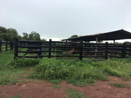 Imagem 3 de 8 de Fazenda À Venda, 29040000 M² Por R$ 20.000.000 - Zona Rural - São João Da Aliança/go - Fa0019