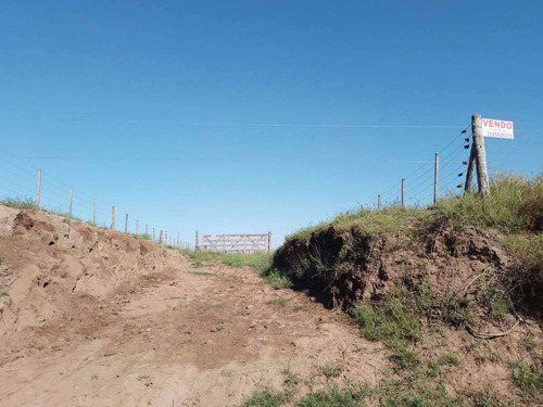 Terreno En Venta | 11.812 M² Totales | Holmberg