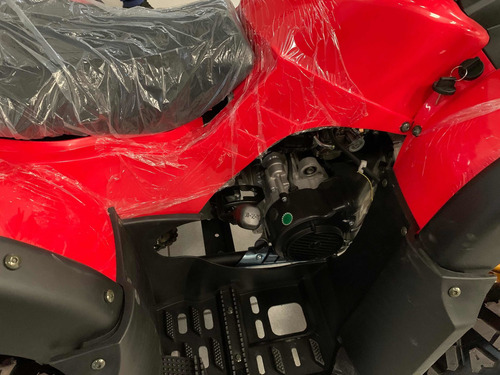 Imagem 10 de 10 de Quadriciclo 180cc Automático 0km