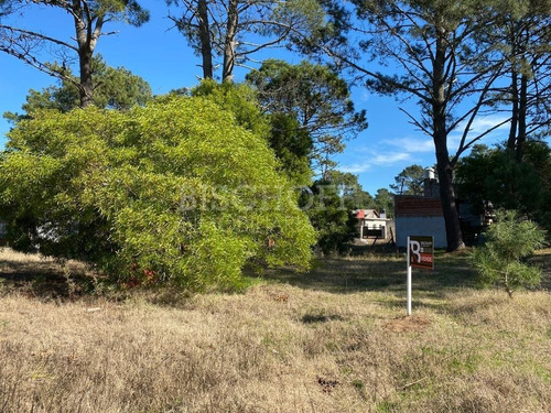 Imagen 10 de 16 de Hermoso Terreno, Zona Golf. Villa Gesell