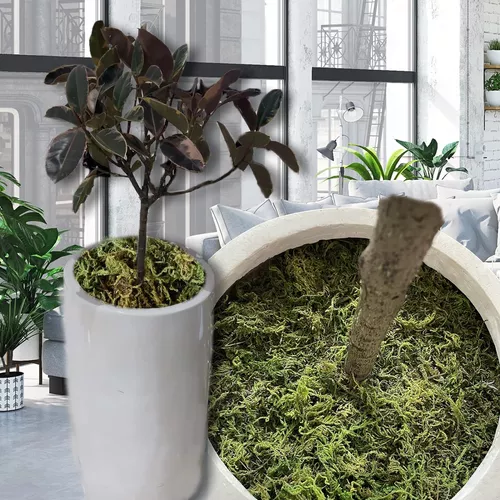 KXCOFTXI Musgo artificial artificial, 10.6 onzas/10.58 oz de musgo seco  verde, musgo artesanal para plantas en maceta, flores y decoración de jardín