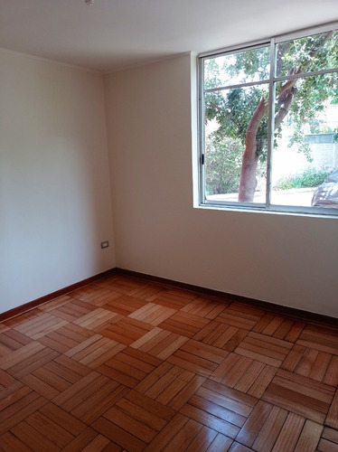 Imagen 3 de 13 de Departamento Recién Remodelado!
