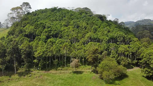 Vendo Permuto Finca Líbano Tolima