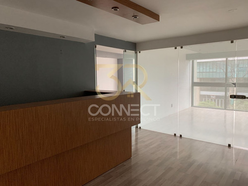 Oficina En Renta En Polanco 12c/3b/4e - Excelente Ubicación - 430 M2
