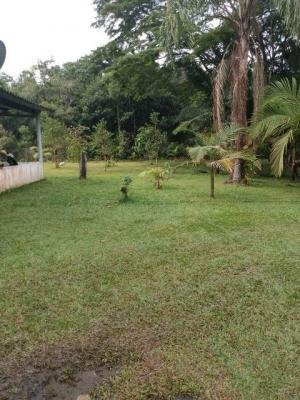 Imagem 8 de 8 de Chácara Litoral Sul Lado Serra 3120m²-ref. 7242/dz