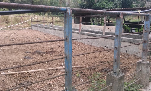 En Venta Finca Ideal Para Ganadería, Cría De Caballos Entre Otras Actividades.