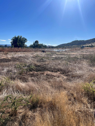 Terrenos En Marchigüe 5000m2 . A 2 Min Del Centro .