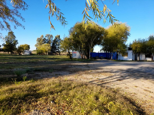 Imagen 5 de 7 de Local Con Terreno