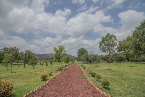 Imagen 20 de 30 de Rancho Morera En Venta, Carretera A Dolores Hidalgo En San M