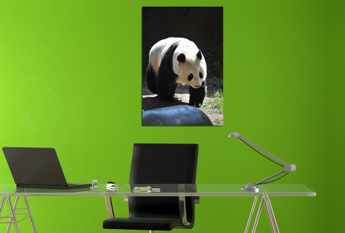 Vinilo Decorativo 40x60cm Oso Panda Natura Deco Interior M