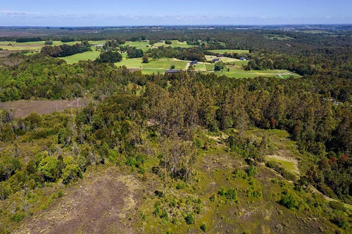 Parcela De 6mil M2 En Minte - Puerto Varas