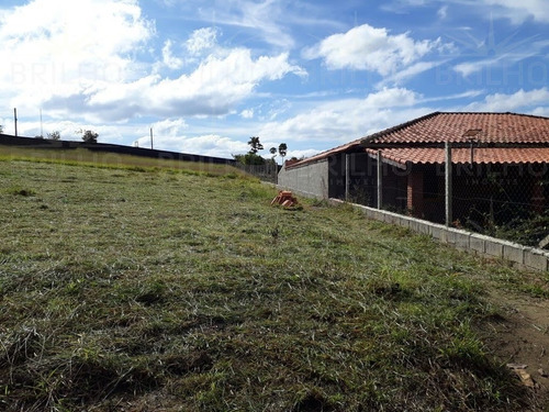 Imagem 2 de 15 de Terreno Condomínio Para Venda - 6765