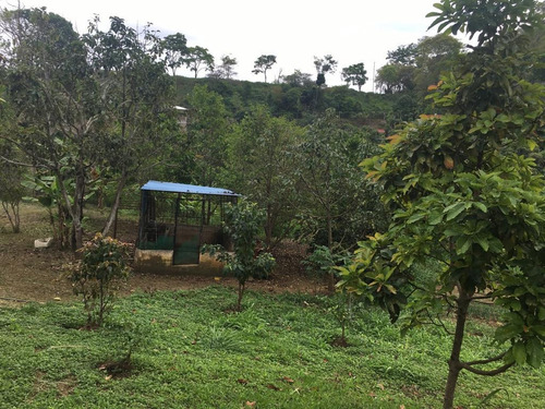 Imagen 3 de 8 de Parcela De Terreno Y Casa Carayaca