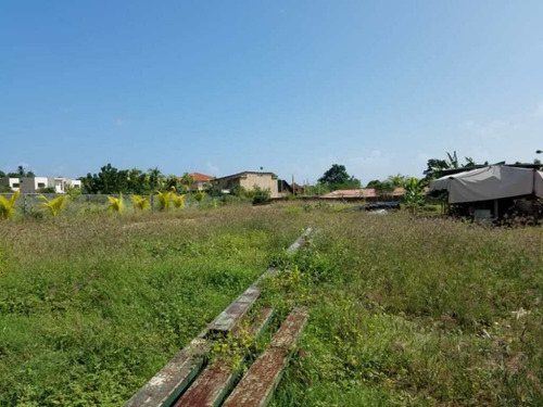 Imagen 2 de 5 de Terreno En Guacuco