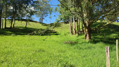 Finca, Terreno Para Venta Vía Rionegro - Carmen De Viboral Parcelar