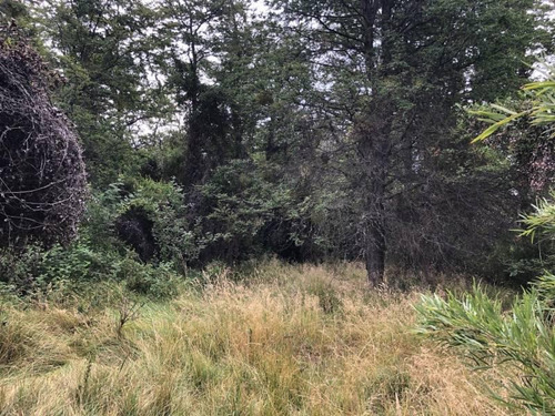 Imagen 4 de 7 de Oportunidad! Fabienne Edelberg Fe Propiedades Vende Fraccion Iv Excepcional Lote 3950 M2 Meliquina. Oportunidad!!