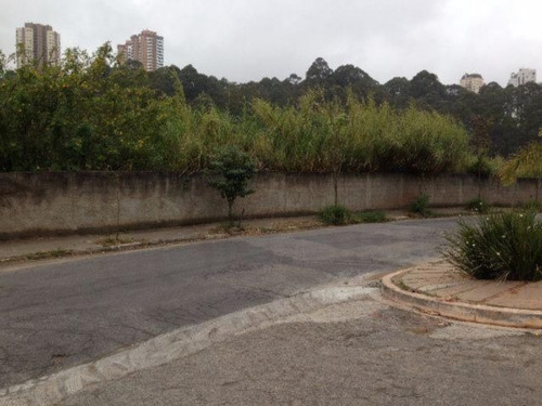 Imagem 3 de 4 de Terreno - Jardim Ampliacao - Ref: 799 - V-2653
