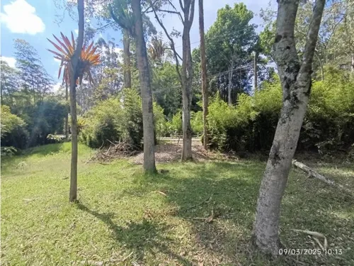 Vendo Lote En Llano Grande Vereda Cabeceras De 6.307 M² Sobre Vía