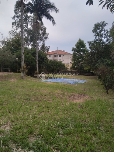 Imagem 6 de 15 de Terreno - Morro Santana - Ref: 376254 - V-376254